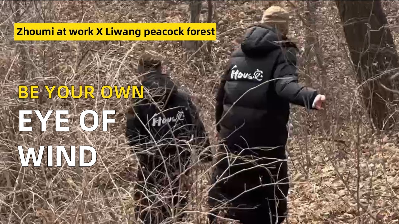 [zhoumi arrived] The story behind this collaboration