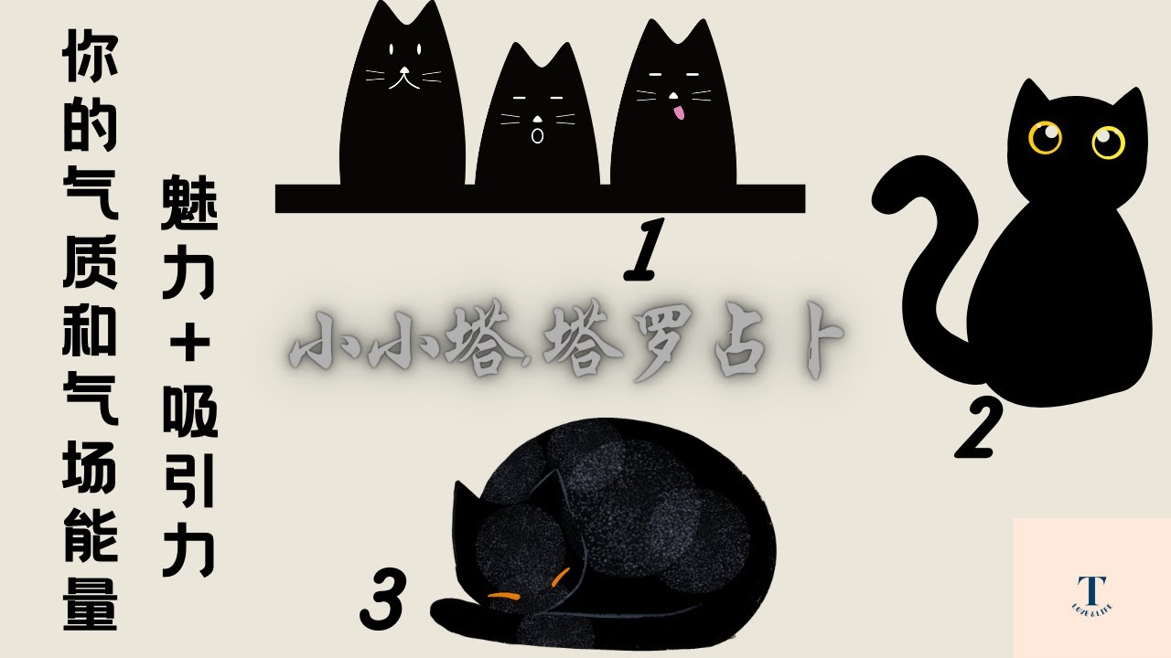 塔罗占卜🔮你的气场有多强？是什么样的类型？气质给人的感觉是什么样子的？对Ta对所有人的吸引力和魅力呢？