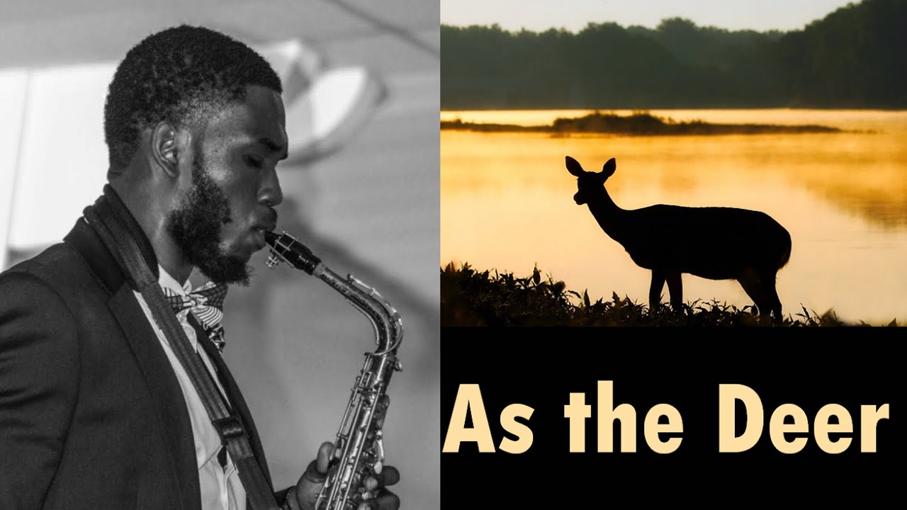 As the Deer | Saxophone Instrumental Cover
