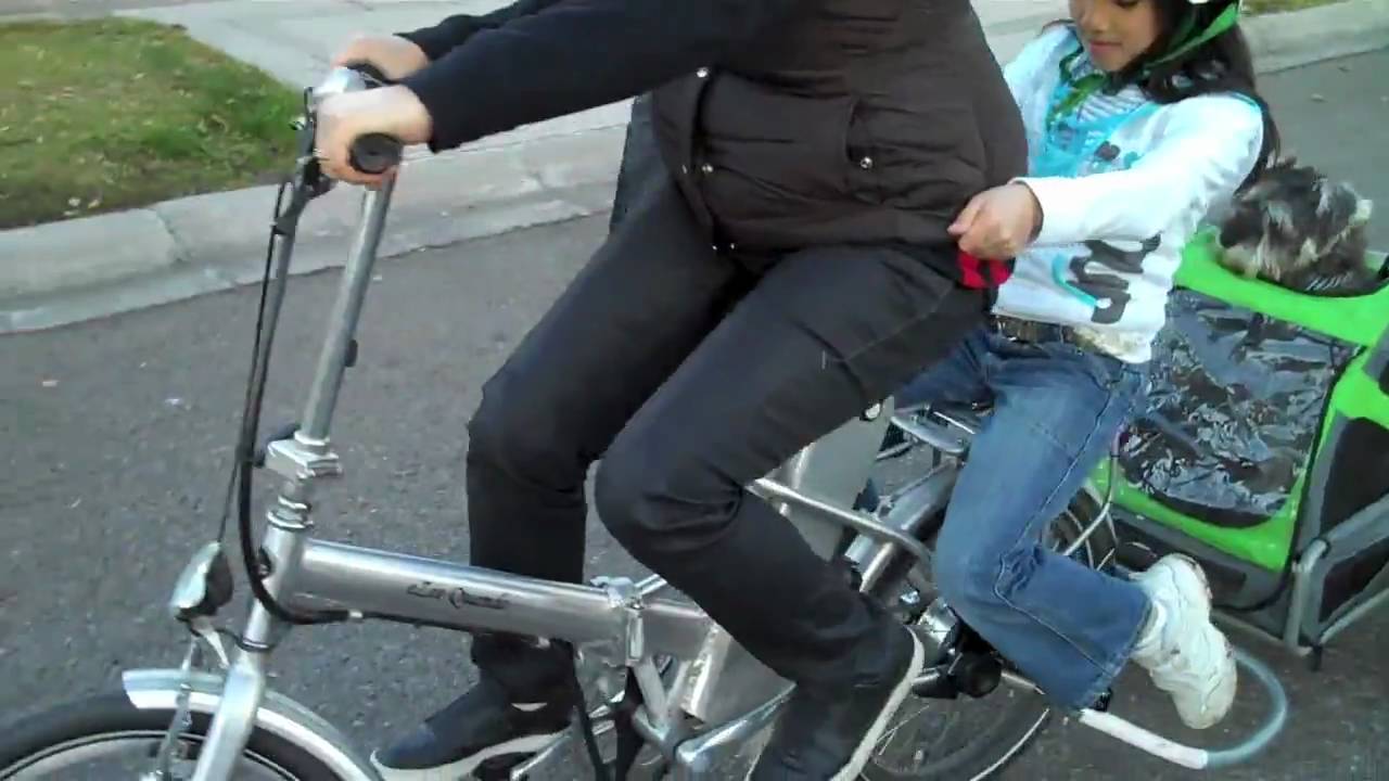 Schnauzer tests DoggyRide trailer and Ezee Quando eBike