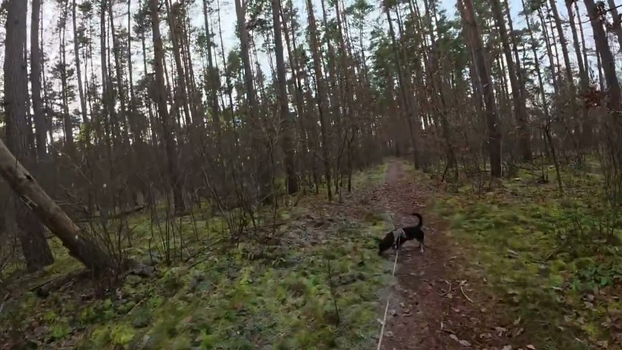 Piękne Drogi i krajobrazy