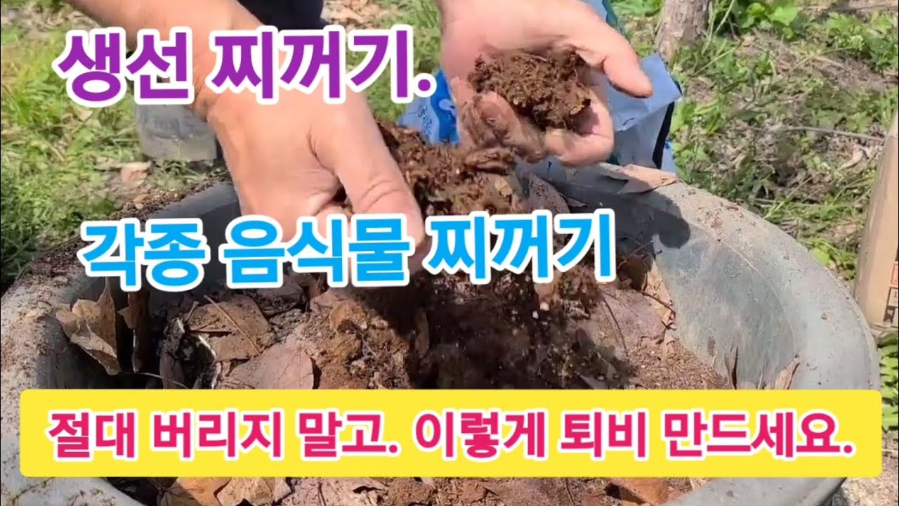 음식 물 쓰레기 버리지 말고 이렇게 퇴비만들어. 화단 텃밭에 다 뿌려주면 죽어가는.흙도 되살리고.식물들이 병들지 않고 미친드시 쑥쑥 잘 자라요.