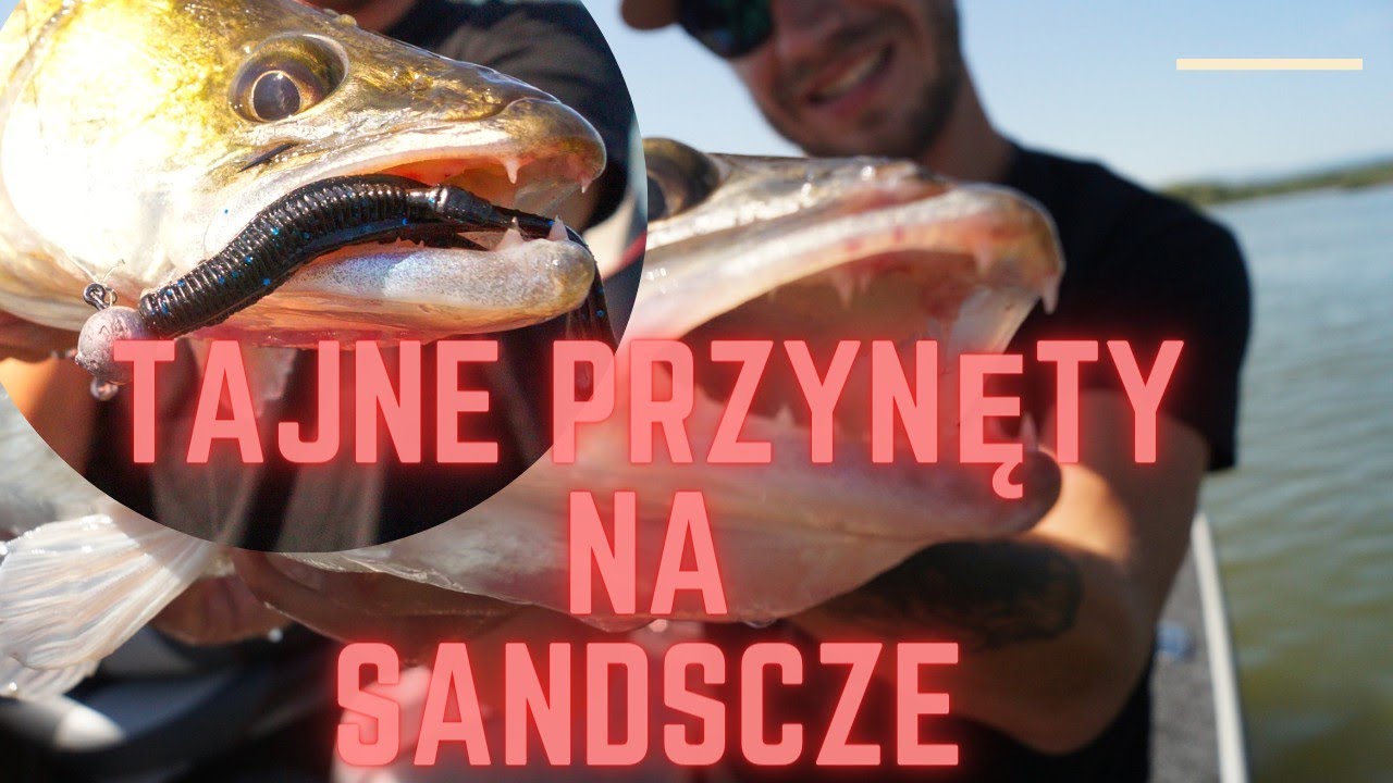 Najlepsze przynęty na sandacze ▫️Jezioro Nyskie #wędkarstwospinningowe #sandacz #lato