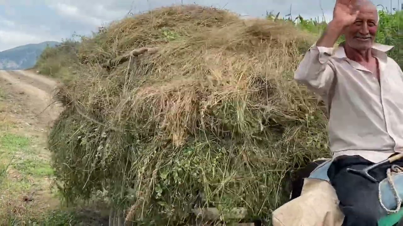 Buzluq-Meneshli-Todan-Goygol yolu