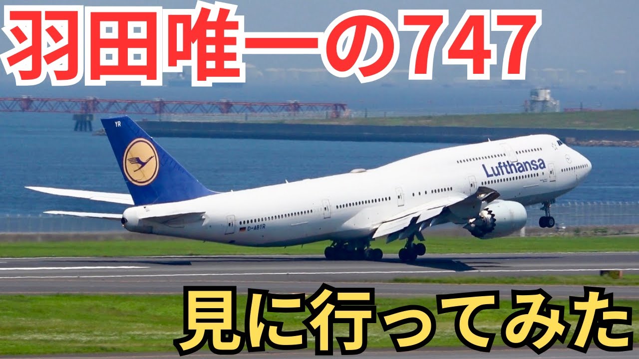 2. ジャンボジェットを見に行きながらいろんな飛行機を観察してみた！