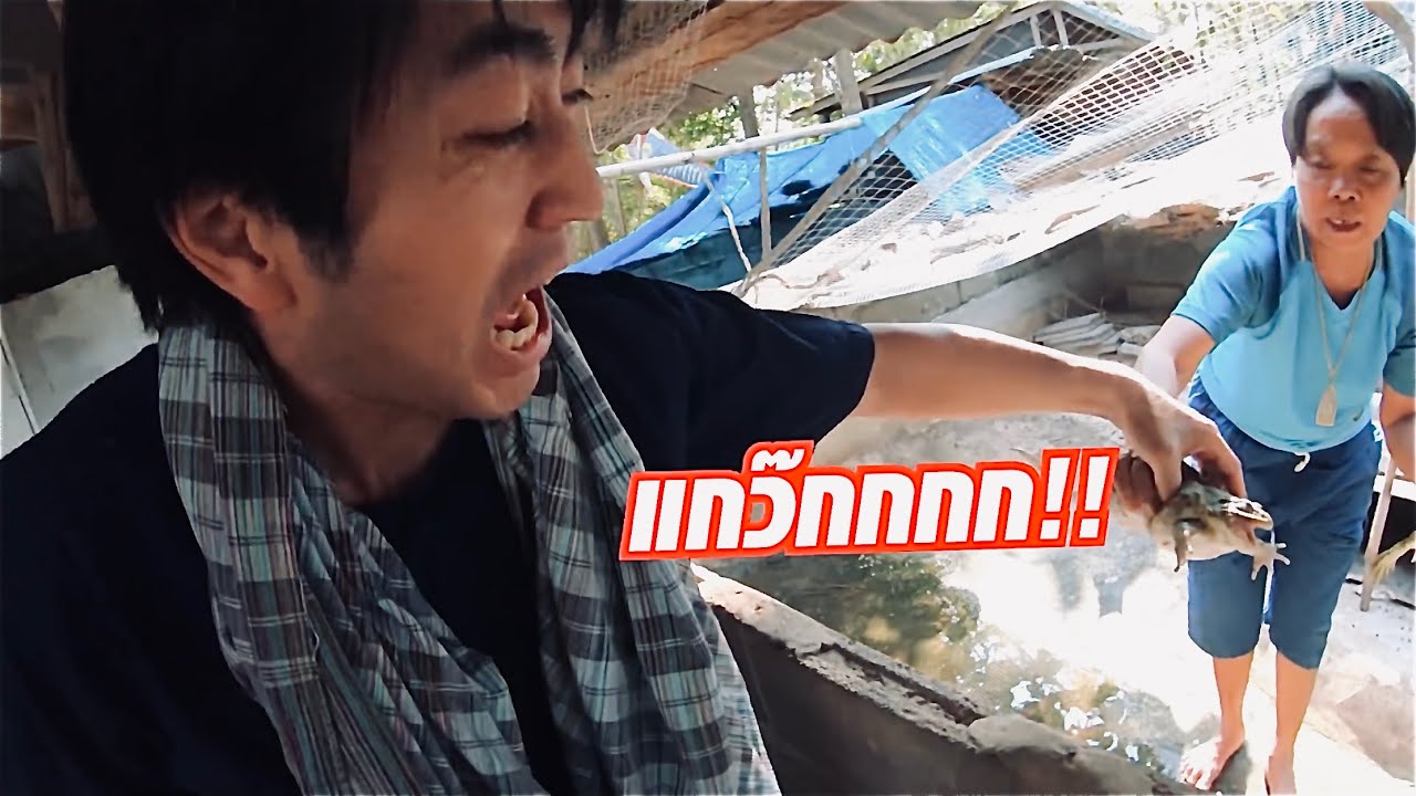 คนญี่ปุ่นจับกบยักษ์ กรี๊ดดดดแตก เที่ยวอีสานบ้านเฮา!!! | HiroSano | Ep55