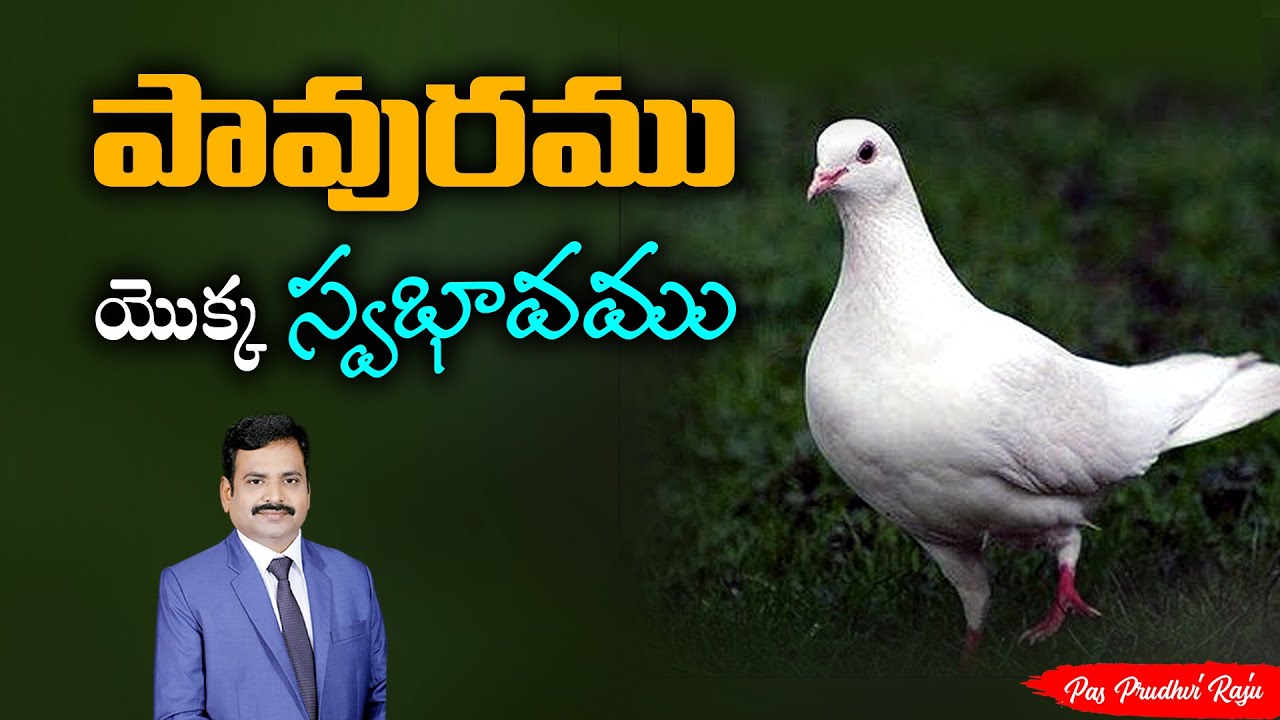 పావురము యొక్క స్వభావము | pastor Prudhvi Raju, Guntur |