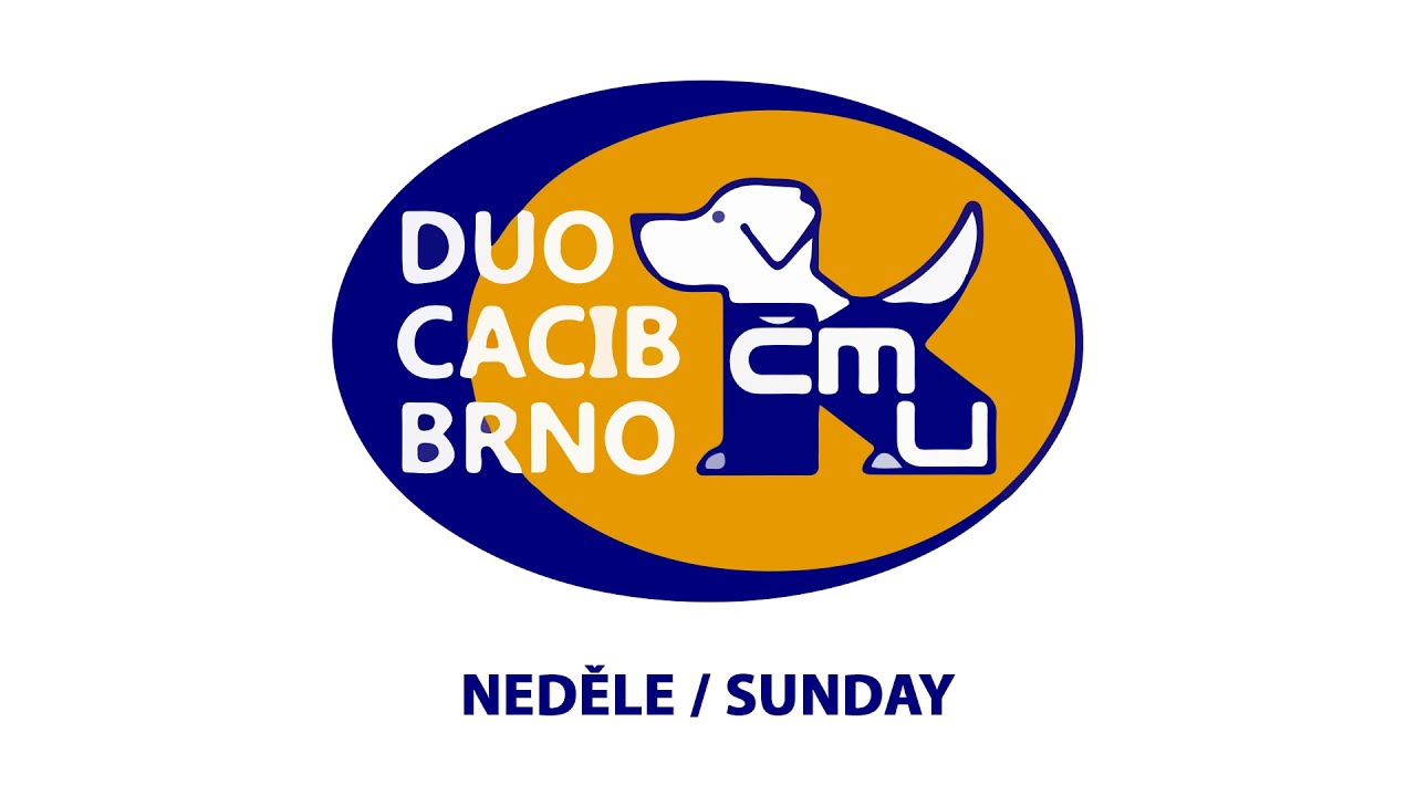 Duo Cacib Brno 2025 - Sunday