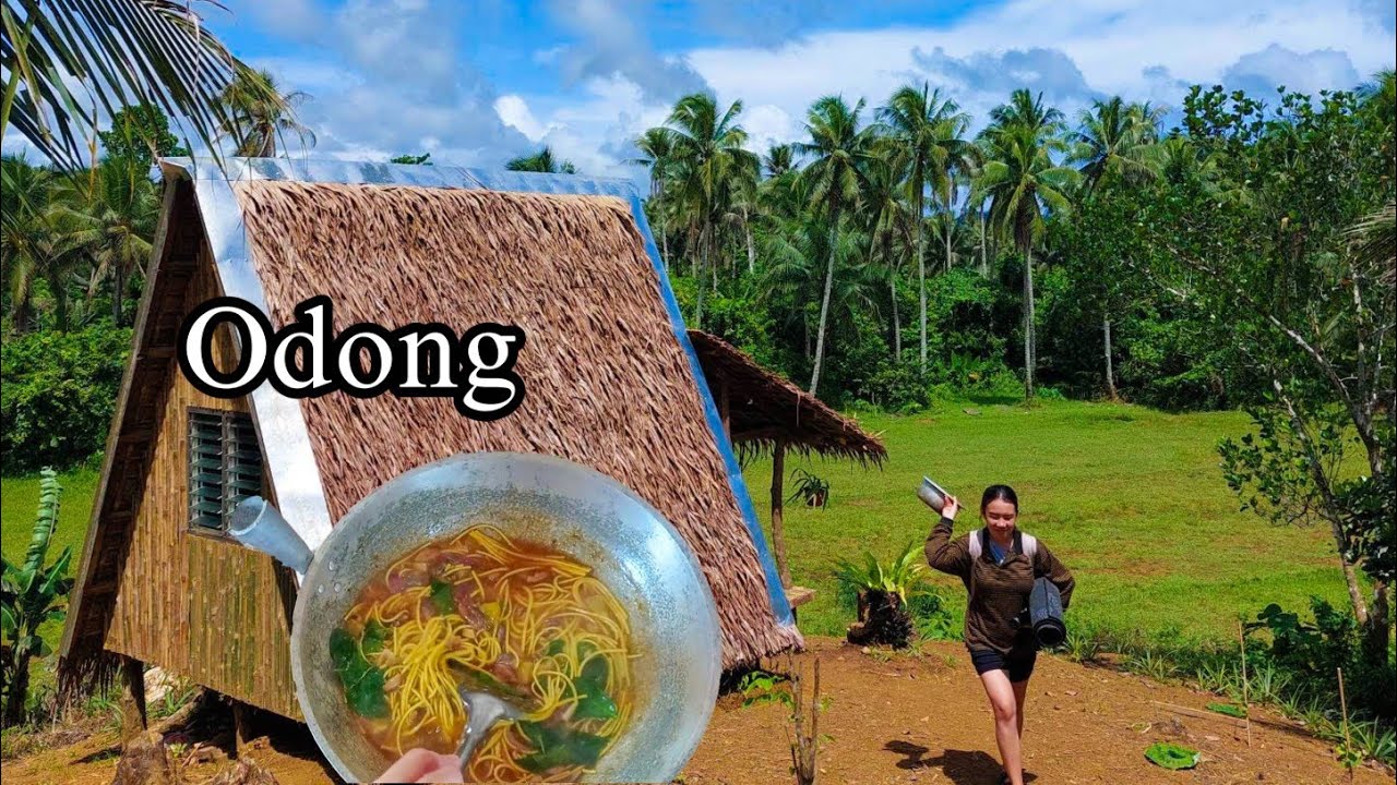 Cooking ODONG Noodles and A Productive Day on the Farm
