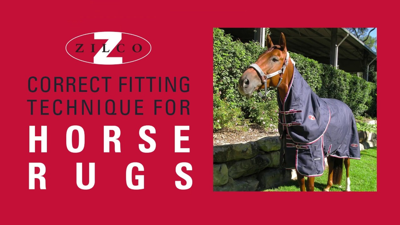 How to fit a Zilco Horse rug correctly