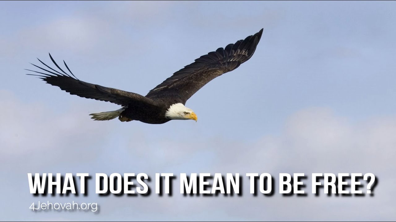 What Does It Mean to Be Free?