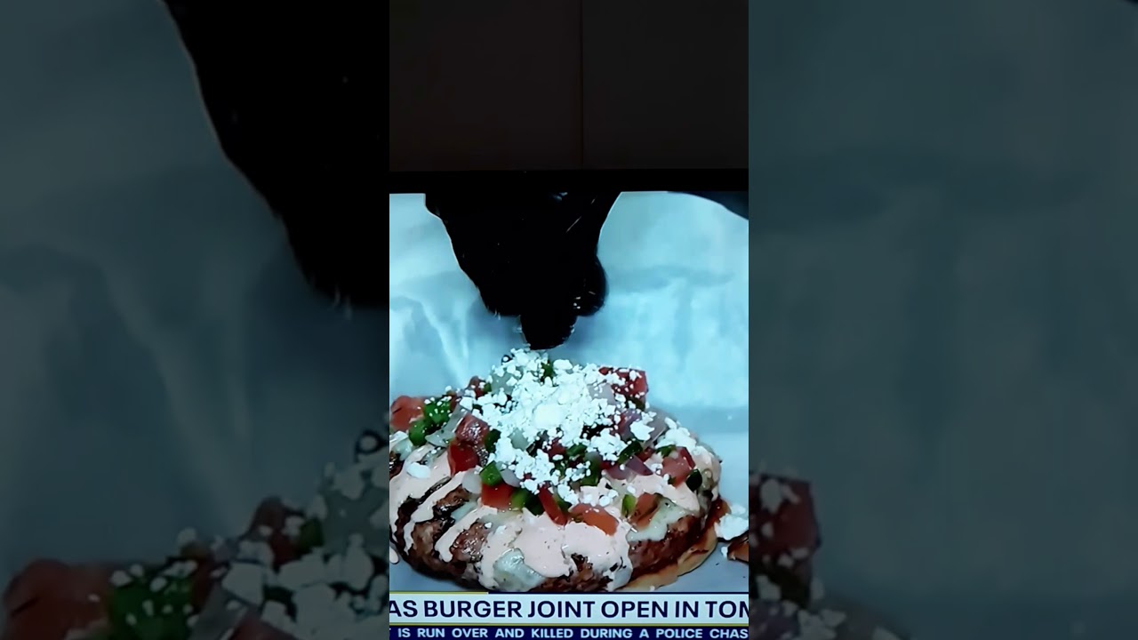 TEJAS BURGER JOINT OPENS IN TOMBALL