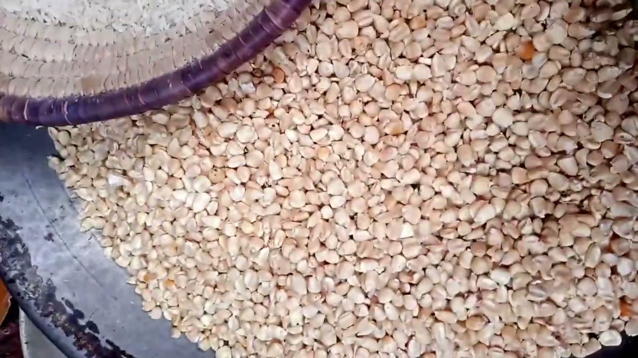 How to make semo powder easily #DIY SEMO POWDER.