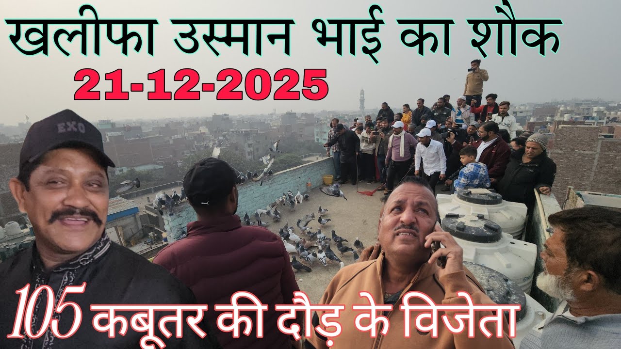 खलीफा उस्मान का 105 कबूतर की दौड़ का शौक 21-12-2025  जाफराबाद दिल्ली।