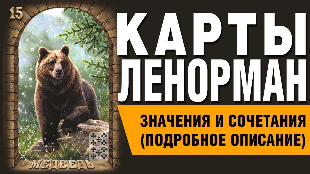 Карты Ленорман. Карта Медведь (15). Значения и сочетания карт.