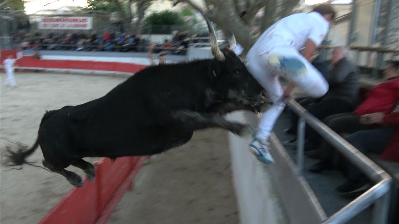 JONQUIÈRE ST VINCENT COURSE DE LIGUE 5.11.22