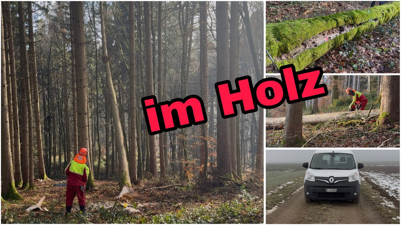 genug Frost ?