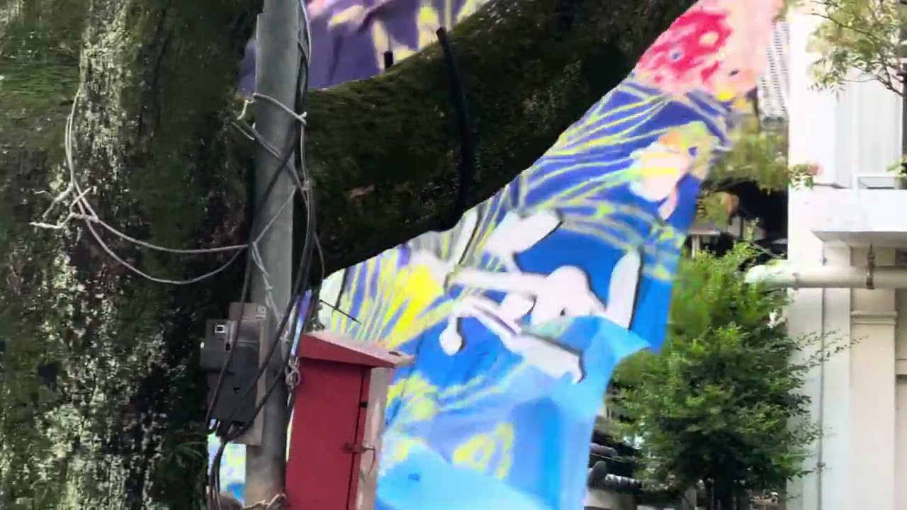 よさこい　宴一座　高知全国大会72回