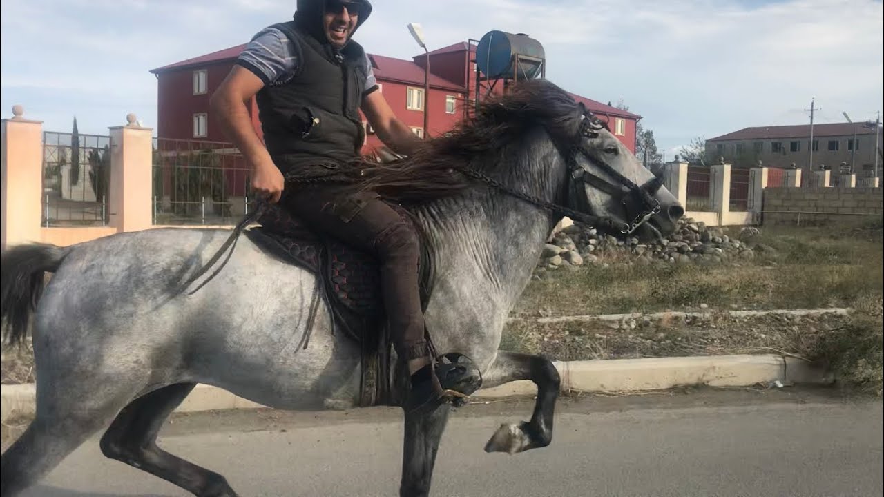 Bexshi Qocaqin axtarishinda😎.  SEND VIDEO: 👉WhatsApp +79266206463 For (Facebook Instagram YouTube)