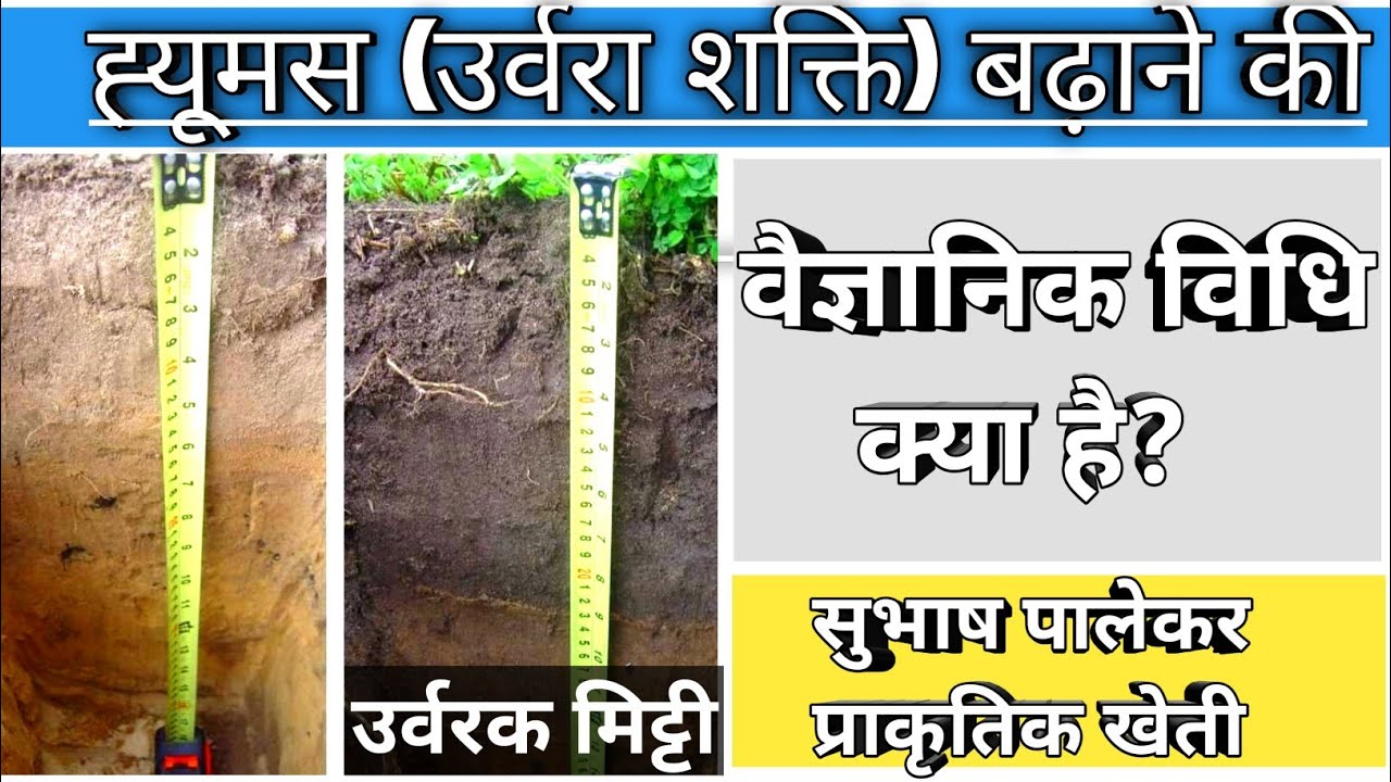 ह्यूमस ( उर्वरा शक्ति ) को बढ़ा के मिट्टी को उपजाऊ कैसे बनाए ? | Humus Subhash Palekar Kheti |