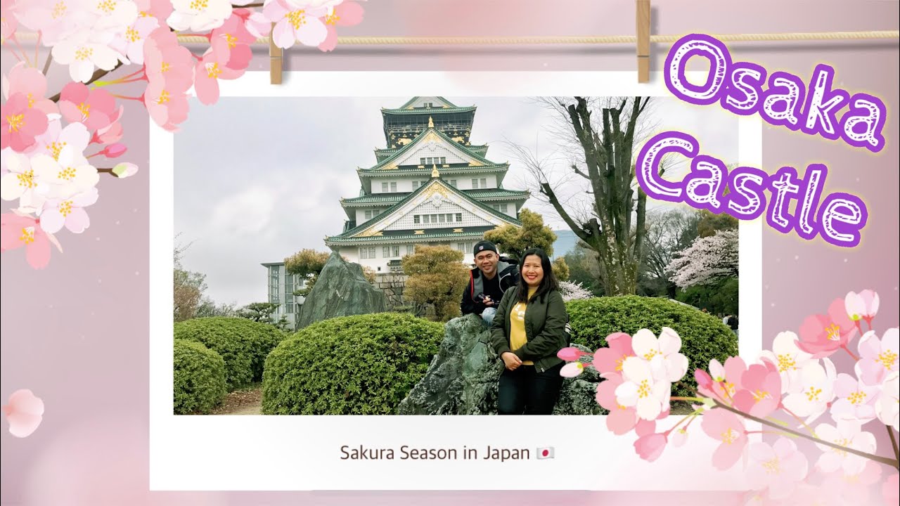 Sakura Season (Cherry Blossoms) at Osaka Castle, Osaka Japan 🇯🇵