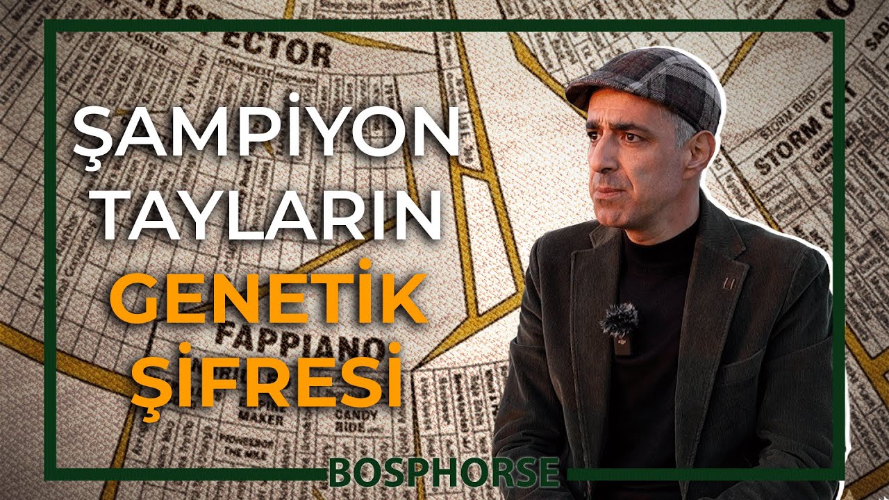 PEDİGRİ BİR SANATTIR! | Nereden Başlamalı?