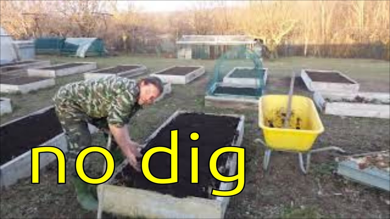 spiego il mio no-dig e i vantaggi, rabbocco compost nei cassoni rialzati, rispondo ad alcune domande
