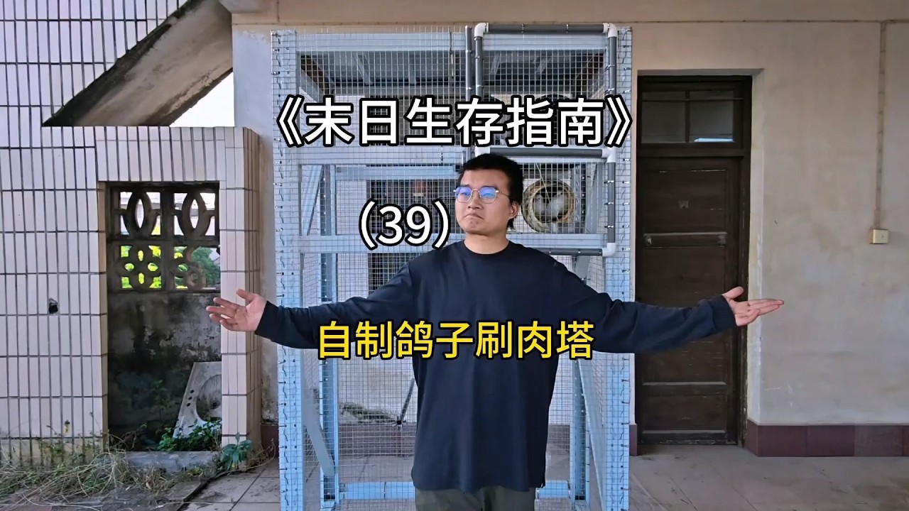 如何在末日零成本无限获得蛋白质？【刘惟与】#末日生存 #室内农场 #生态循环 #手工 #鸽子