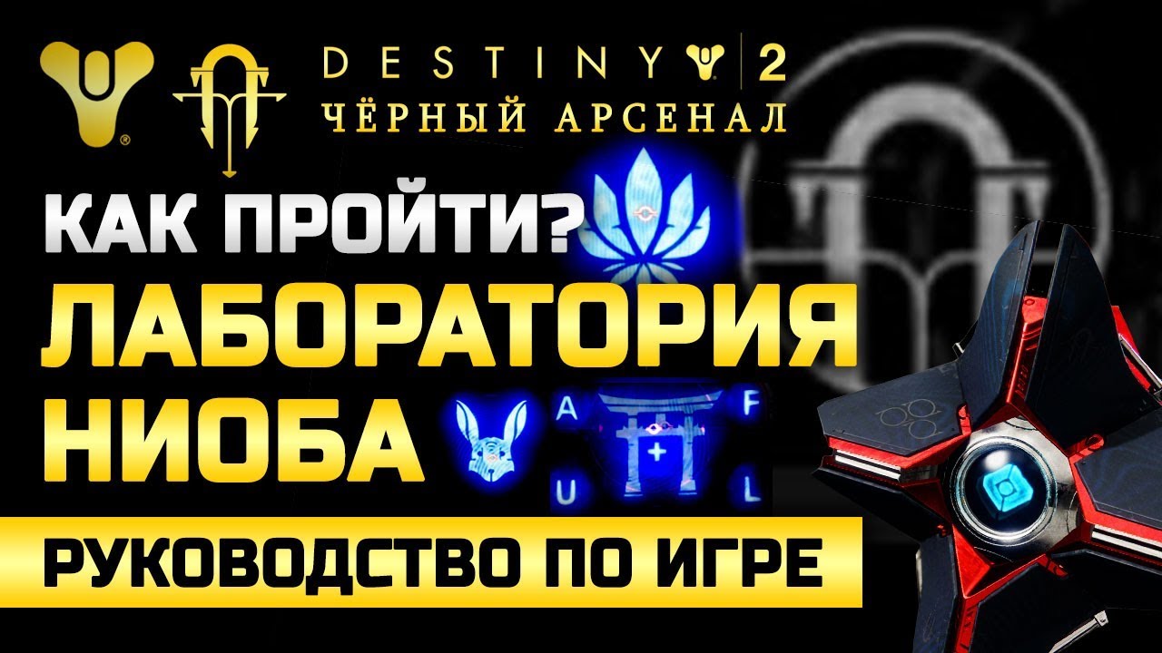 Destiny 2 | Лаборатория Ниоба | Разгадка всех загадок