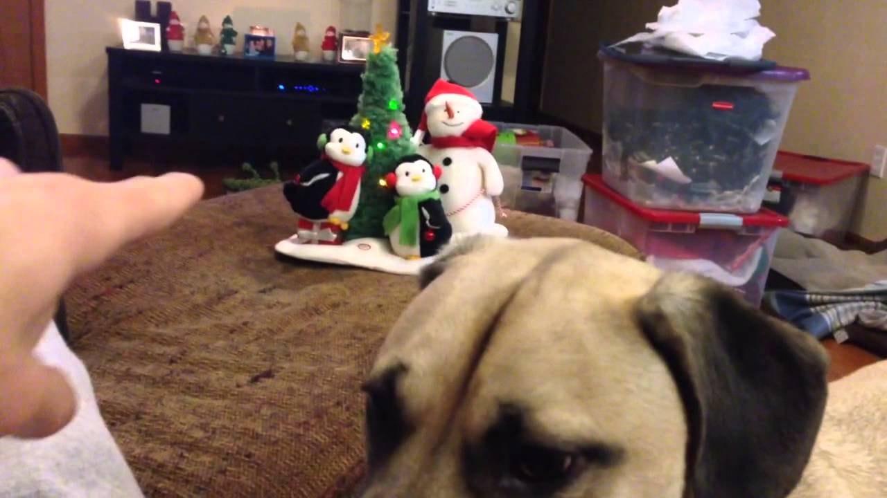Duhop spends time with Roscoe & the cats