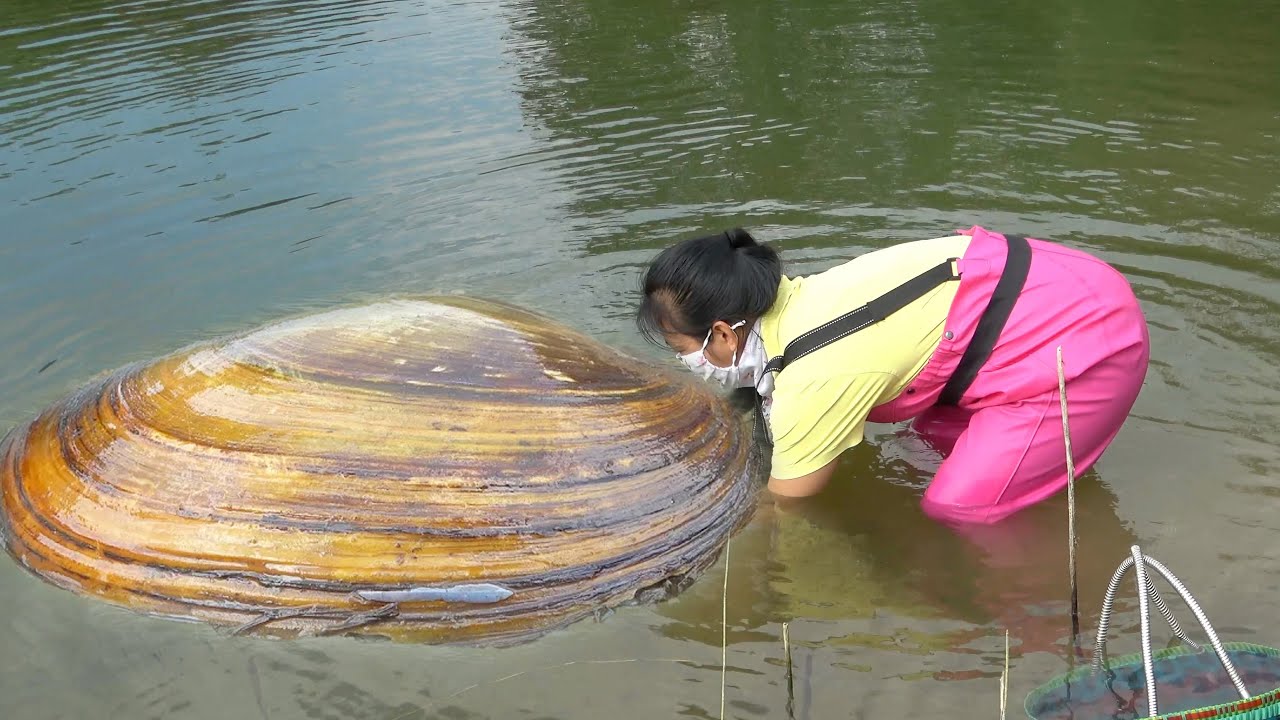 The lucky girl unexpectedly found a giant clam containing dozens of beautiful pearls