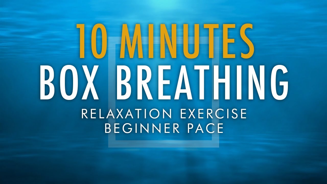 Box Breathing Relaxation Exercise | 10 Minutes Beginner Pace | Anxiety Reduction Pranayama Technique