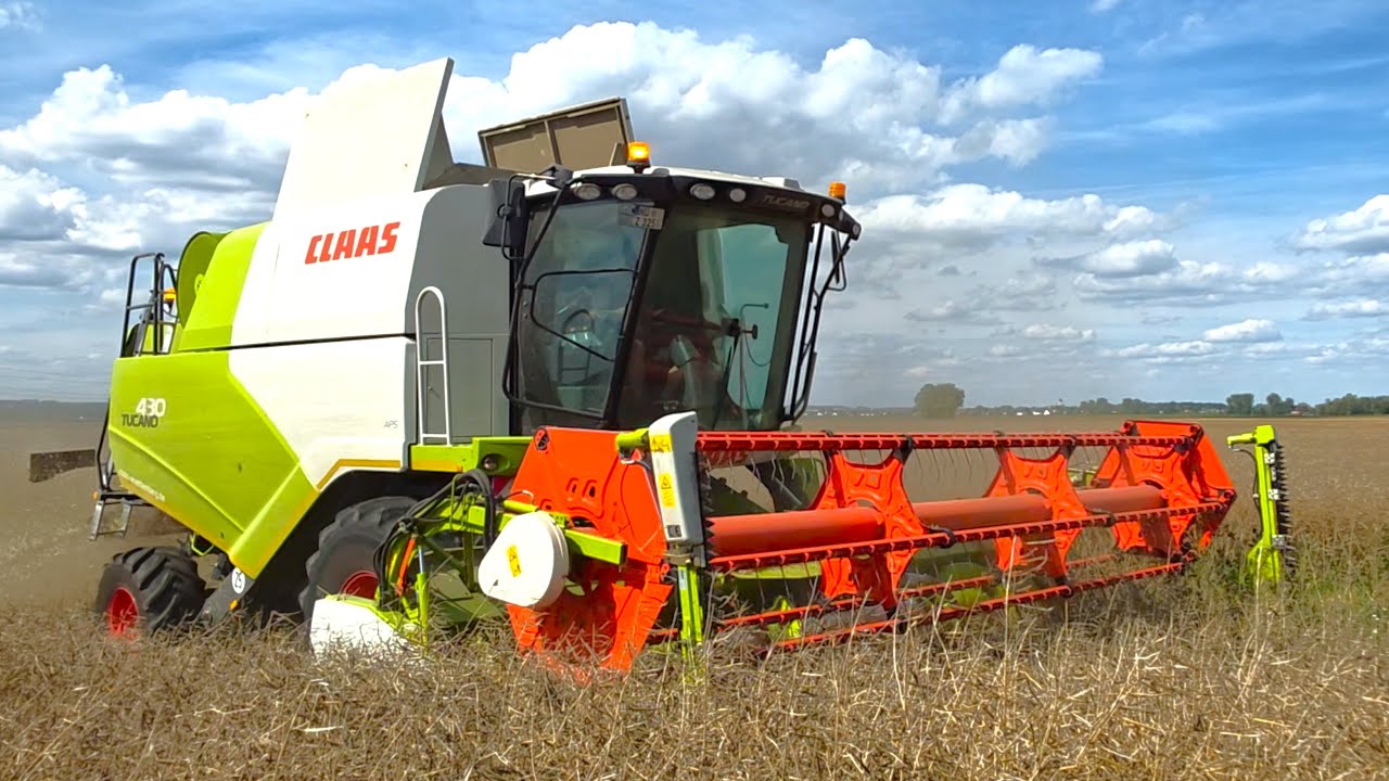 Claas Tucano 430 APS drescht Raps mit starken Hagelschaden | Die Ausbeute war unter aller Kanone!