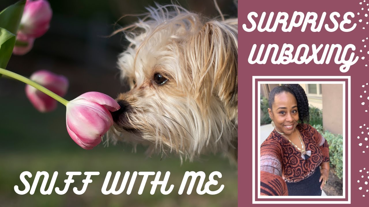 SNIFF WITH ME | FRAGRANCE TEA | SURPRISE UNBOXING | FINALLY A D&G LIGHT BLUE THAT I LIKE