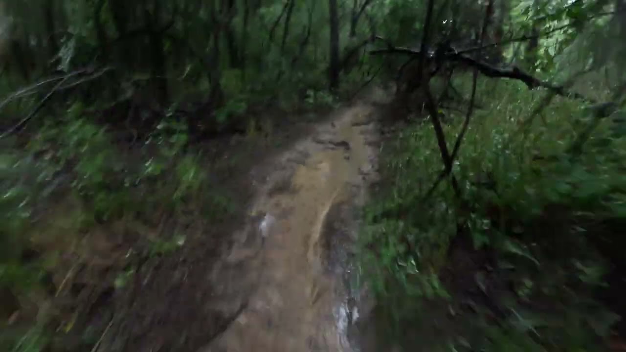 Barton Creek Greenbelt Hike, Austin TX, July 5, 2025 - GoPro Hero 11
