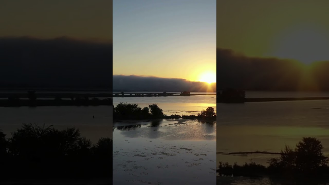 l’éveil du veilleur #tamalou #musique #rap  #dance  #music   #ias   #amour   #dancer #remix #spotify