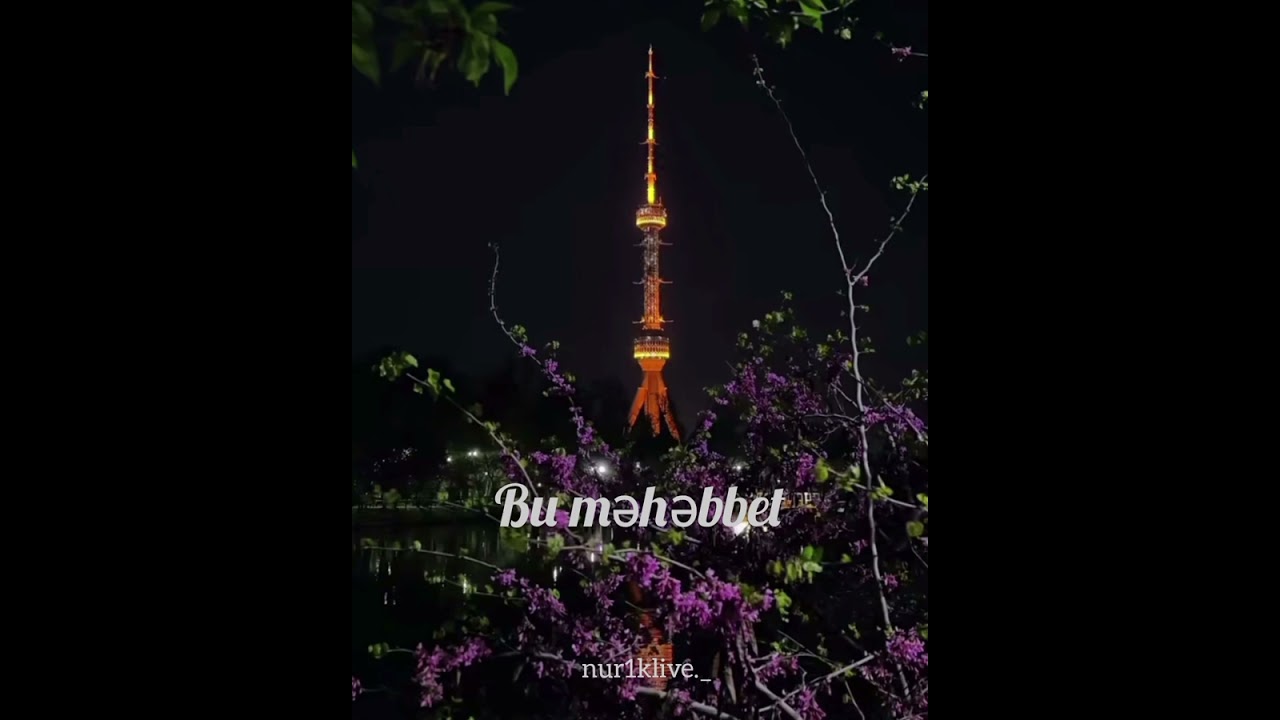 Bu məhəbbet ❤️&zwj;🔥hamma izlagan qoʻshiq🎙️
