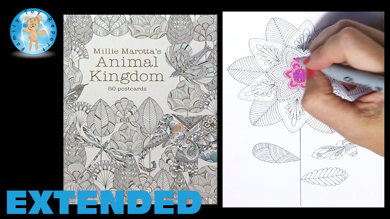 Millie Marotta's Animal Kingdom 50 Postcards Adult Coloring Book Flower Moth - Family Toy Report
