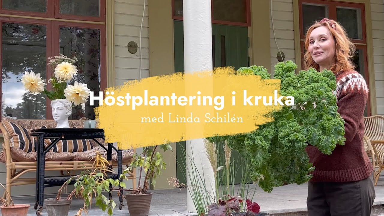 Höstplantering i kruka