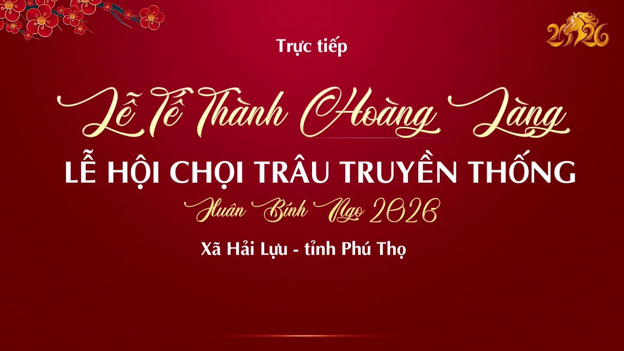 [TRỰC TIẾP] LỄ TẾ THÀNH HOÀNG Lễ hội chọi trâu xã Hải Lựu xuân Bính Ngọ 2026