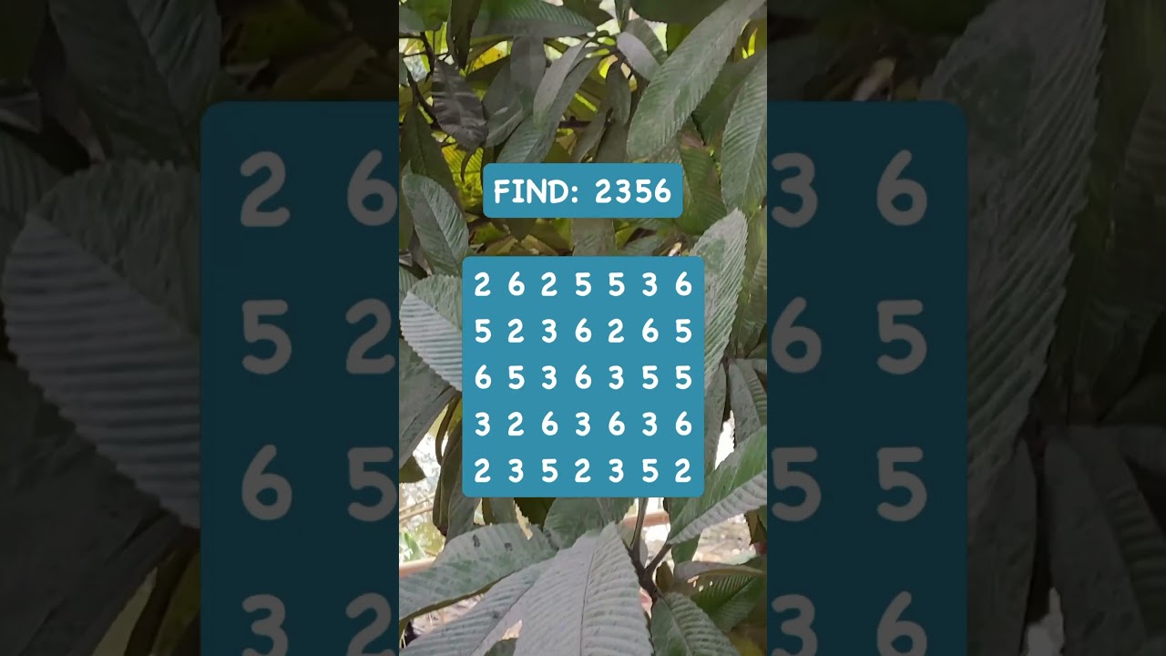 Observation Visual Test: 5 Seconds For You To Spot 2356. Try Your Skills!  #search #puzzle #shorts