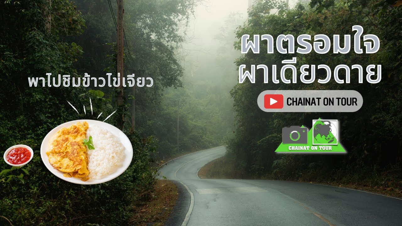 ผาตรอมใจ ผาเดียวดาย ข้าวไข่เจียว อุทยานแห่งชาติเขาใหญ่ Khao Yai#ข่าวไข่เจียวเขาใหญ่ 4K