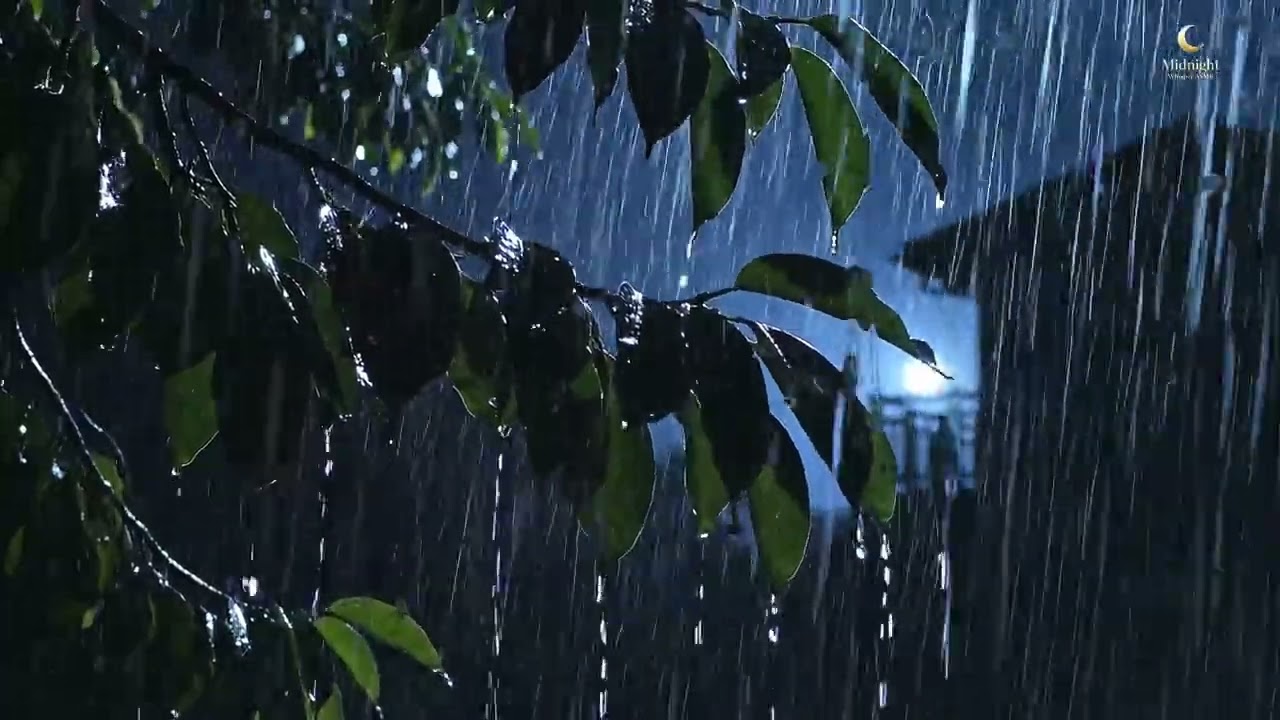 Rain Pouring Through Jungle Leaves | Deep Night Rain Ambience (1 Hours)