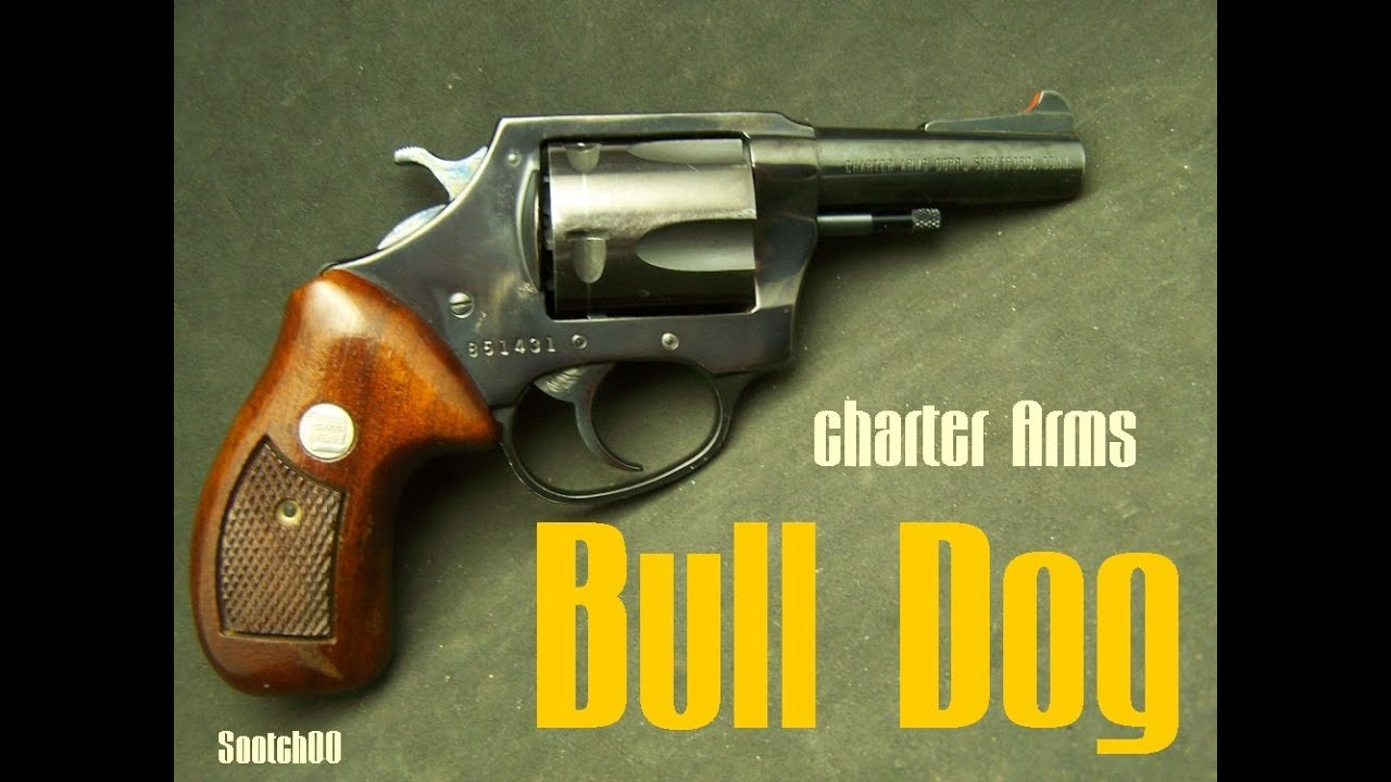 Charter Arms Bull Dog 44 Special