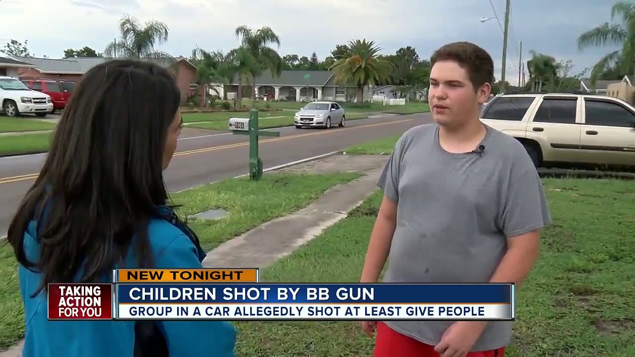 People shot at with pellet gun