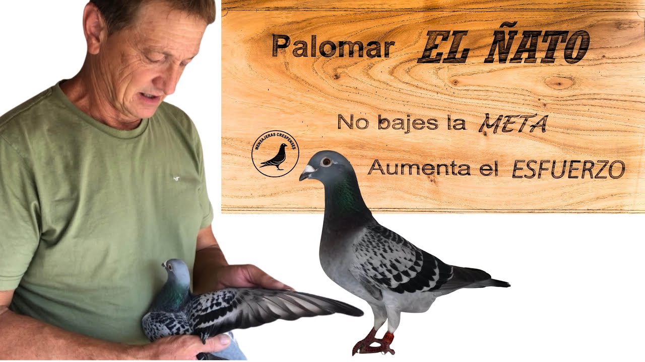 Una charla sincera con Hugo Wisner