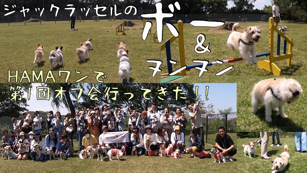 ボー＆ヌンヌン　初めてのオフ会！HAMAワンでジャックの初オフ会に行ってきた！！