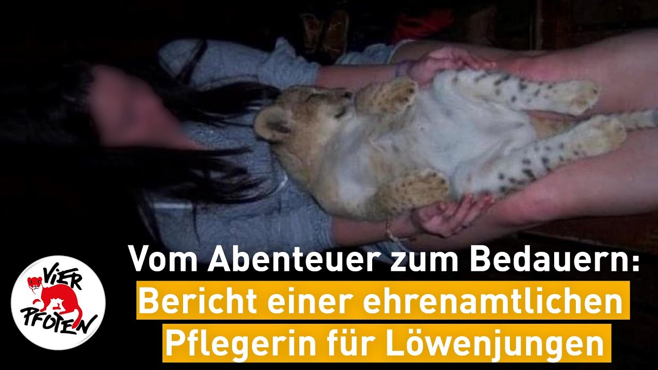 Vom Abenteuer zum Bedauern | VIER PFOTEN