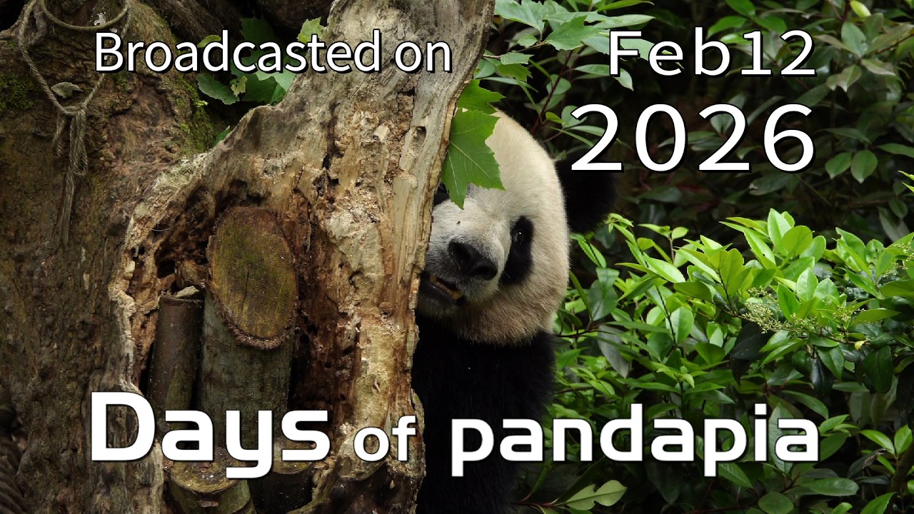 20260212 Broadcast Top Highlights 12