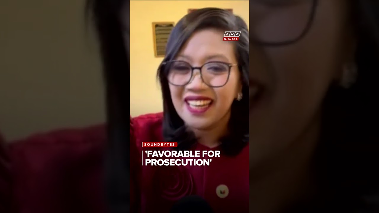 Luistro: Literal reading of vote threshold could render constitutional provision 'absurd, useless'